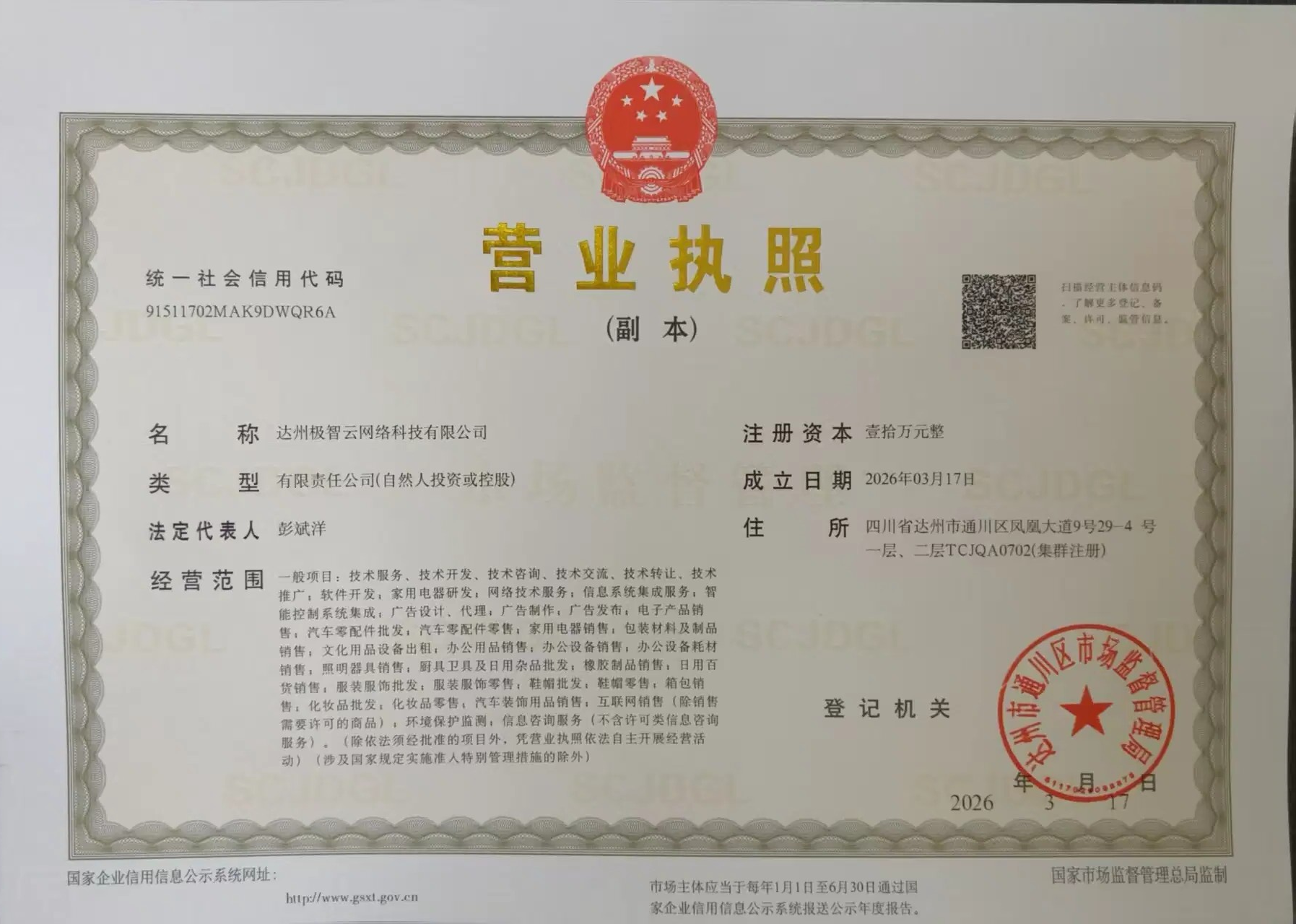 达州极智云网络科技有限公司