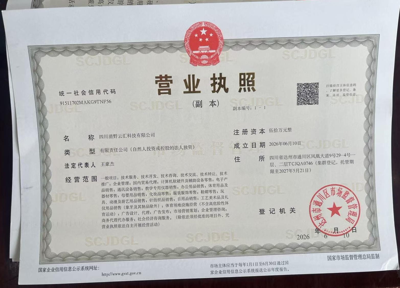 四川清野云汇科技有限公司